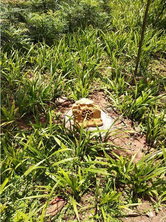 四川巴中文景園小區草坪公共廣播系統